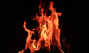 Multiple animals die, several injured in mobile home fire in Moscow