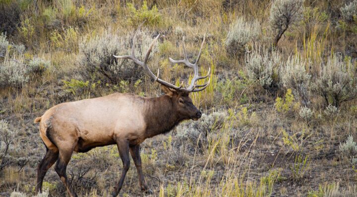 6980e55e19bfchiresjpg | FOX 28 Spokane