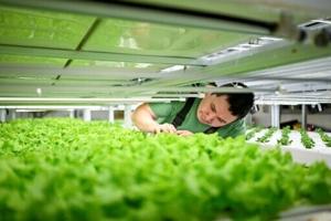 Aggregator Downloaded image for imported item 1578613 | FOX 28 Spokane