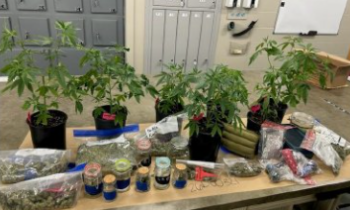 Man arrested in Grand Coulee for growing marijuana without a license and allegedly offering it to minors