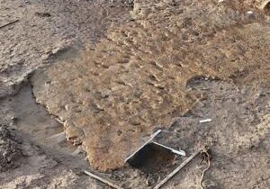 Aggregator Downloaded image for imported item 1580352 | FOX 28 Spokane