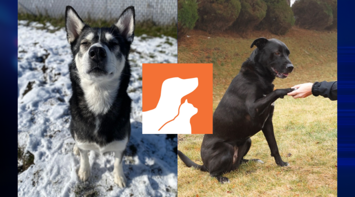 Aggregator Downloaded image for imported item 1581386 | FOX 28 Spokane