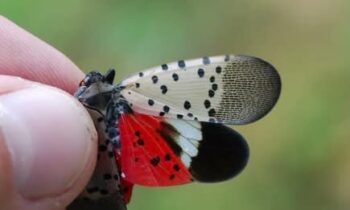 Aggregator Downloaded image for imported item 1584008 | FOX 28 Spokane