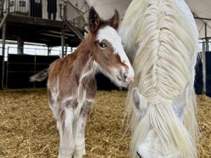 Aggregator Downloaded image for imported item 1584997 | FOX 28 Spokane