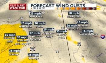 One more windy day🍃, then a beautiful weekend 😎