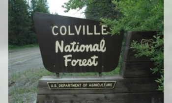 Aggregator Downloaded image for imported item 1595046 | FOX 28 Spokane