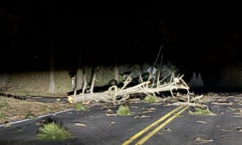 High winds snap trees, down power lines all over the Inland NW