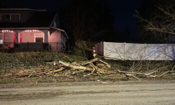 High winds snap trees, down power lines all over the Inland NW