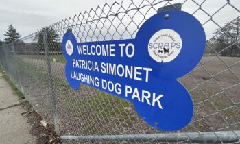 Spokane County reverses decision to close beloved dog park