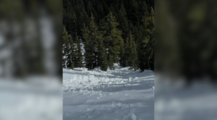 Aggregator Downloaded image for imported item 1595171 | FOX 28 Spokane