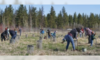 Hands-on Earth Fest at Turnbull Wildlife Refuge on April 25