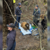 Firefighters rescue 200-pound dog stuck in the mud