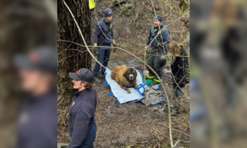 Aggregator Downloaded image for imported item 1595575 | FOX 28 Spokane