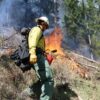 Prescribed fires planned in Idaho Panhandle National Forests