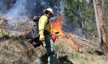 Prescribed fires planned in Idaho Panhandle National Forests