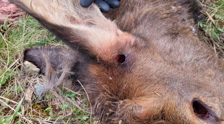 Aggregator Downloaded image for imported item 1596270 | FOX 28 Spokane