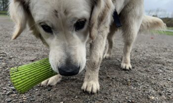 Aggregator Downloaded image for imported item 1596445 | FOX 28 Spokane