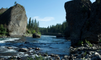 Explore nature with Wednesdays in the Woods at Riverside State Park this June