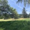 Spokane County receives FEMA grant for wildfire prevention projects