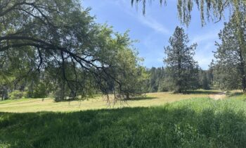 Spokane County receives FEMA grant for wildfire prevention projects