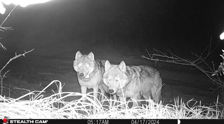 Aggregator Downloaded image for imported item 1601471 | FOX 28 Spokane