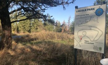 Invasive plant removal event at Upper Lincoln Park