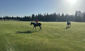 Spokane Polo School Opens Doors to Beginners with New Experience Days