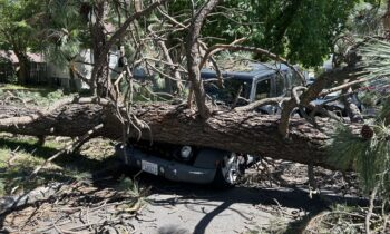 Powerful storm downs trees, causing damage around the Inland Northwest