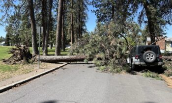 Aggregator Downloaded image for imported item 1603733 | FOX 28 Spokane