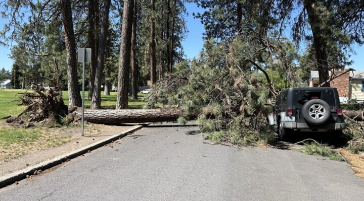 Aggregator Downloaded image for imported item 1603733 | FOX 28 Spokane