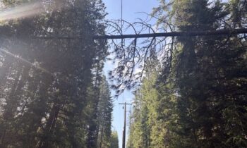 Thousands without power after North Idaho storm