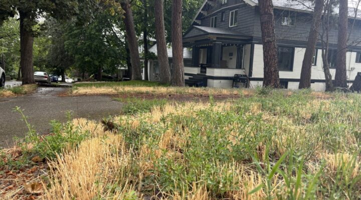 Aggregator Downloaded image for imported item 1604334 | FOX 28 Spokane